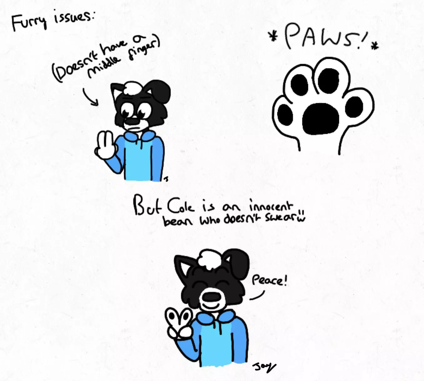 Paw issues