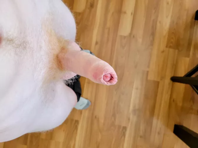 Peeking out from the hood 😉