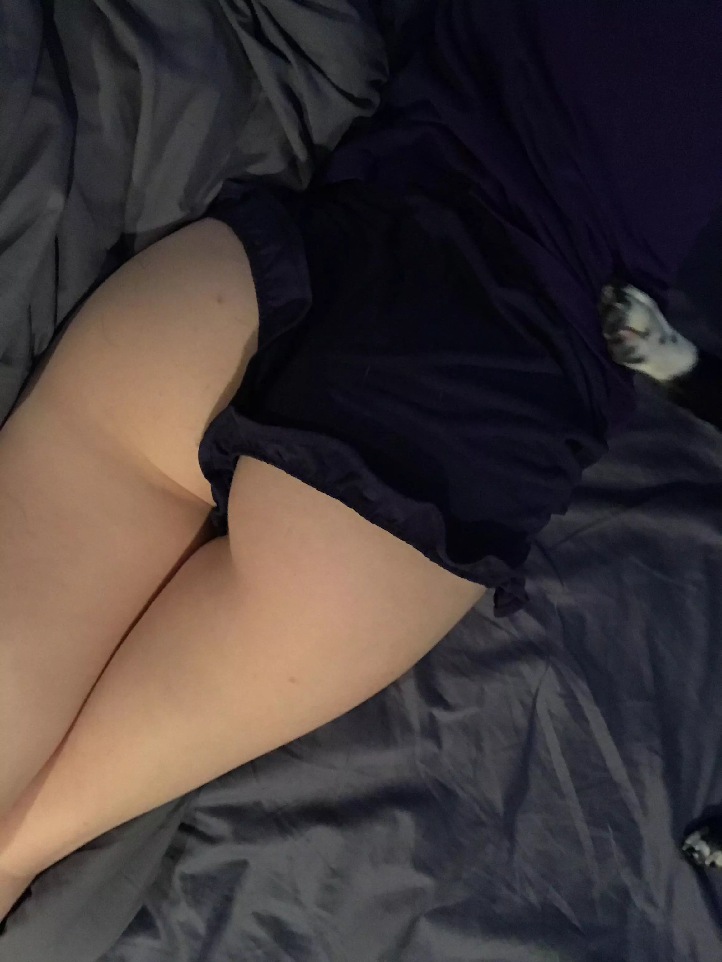 Peep the puppy paw lolll