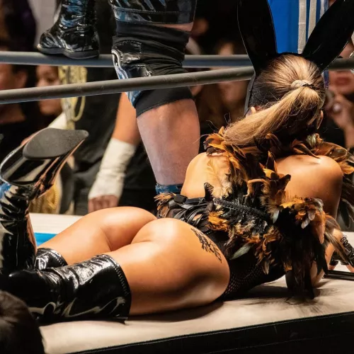 Pieter 🐰 bunny booty