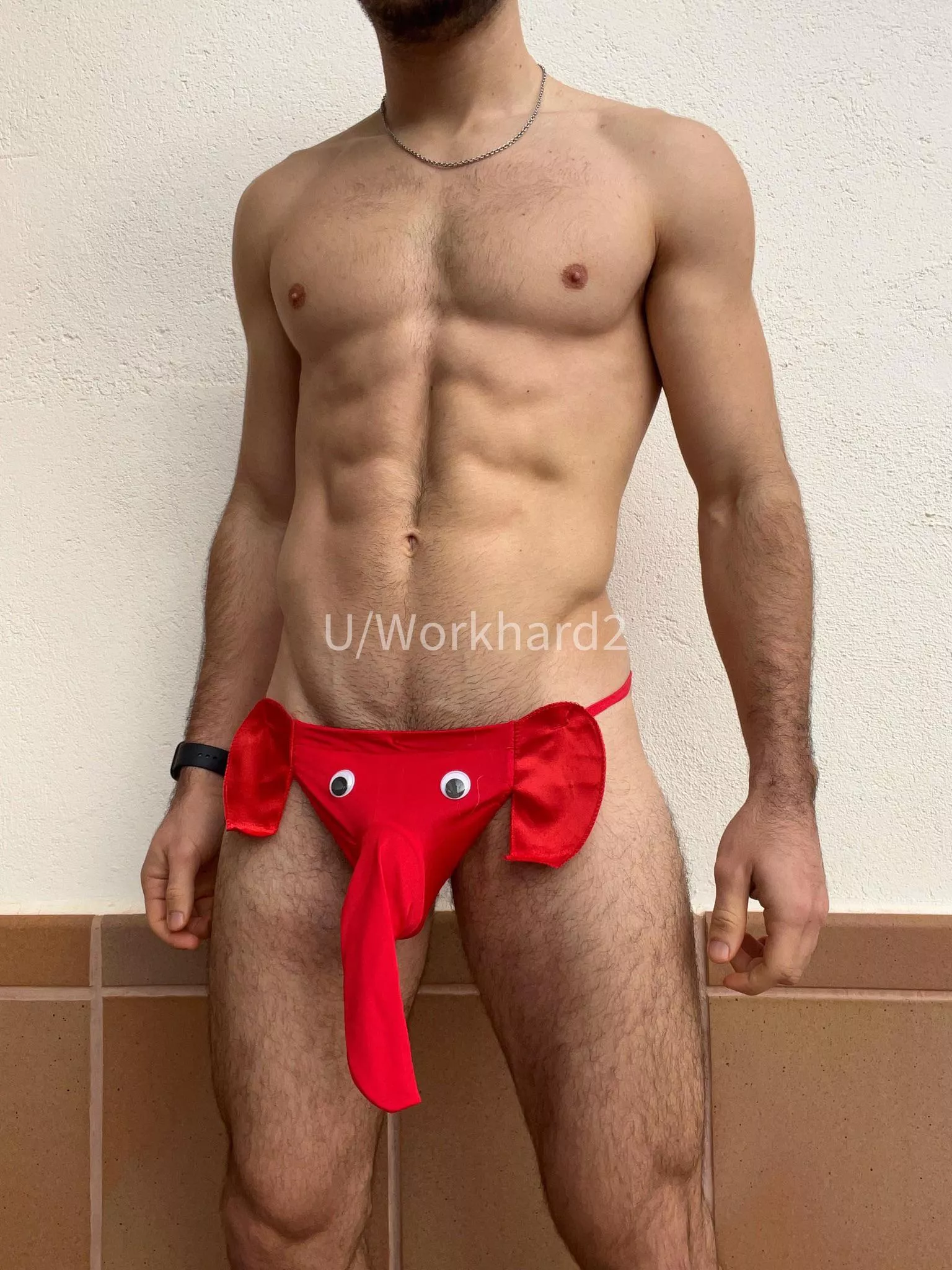 Play with my Elephant! 😅