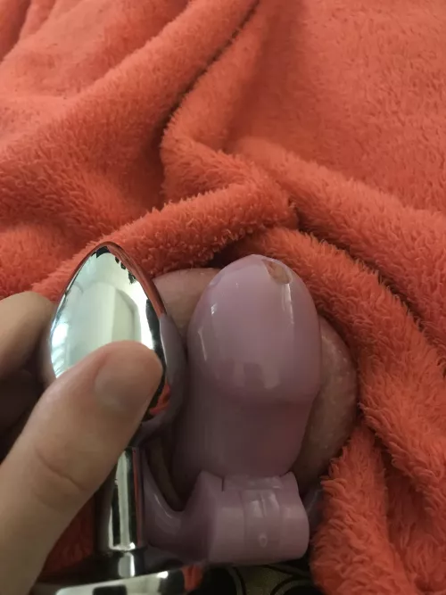 Plug vs my “dick”