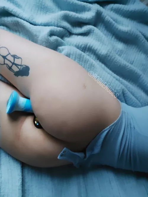 Plugged, stuffed and obedient