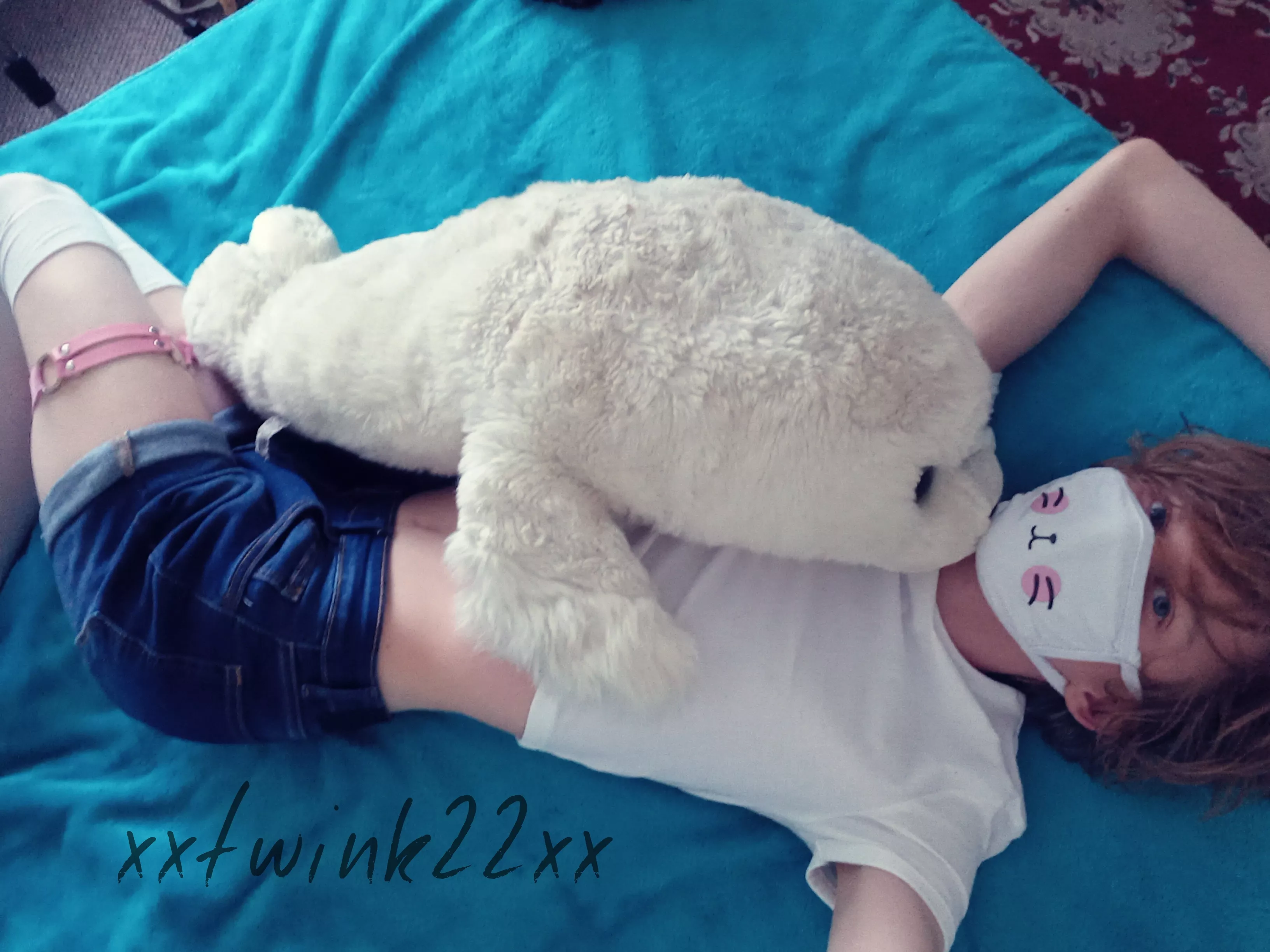 Plushie wanted to say hi 🦭💙