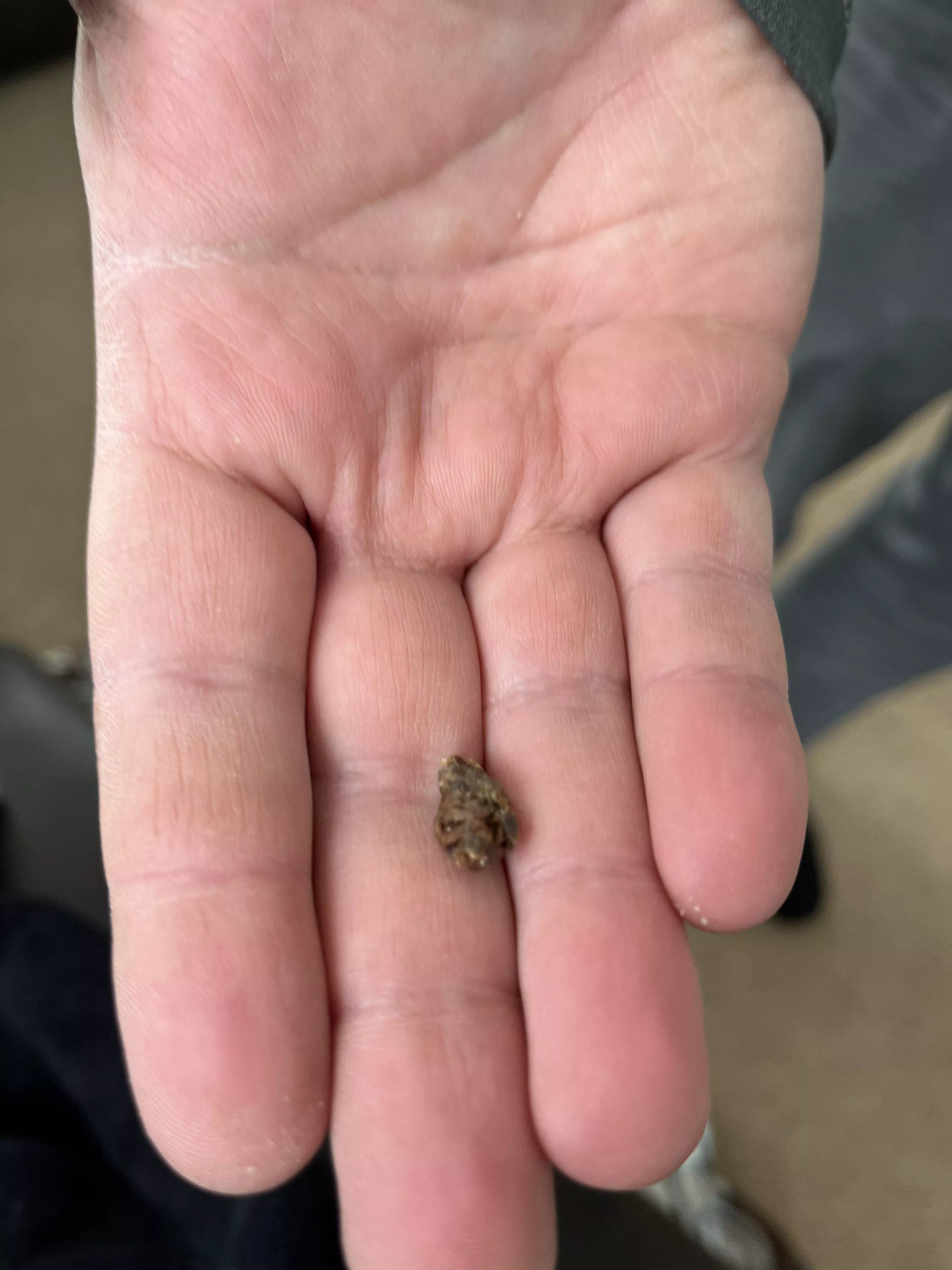 Presenting an ear raisin from my significant other who now has the ability to hear colors