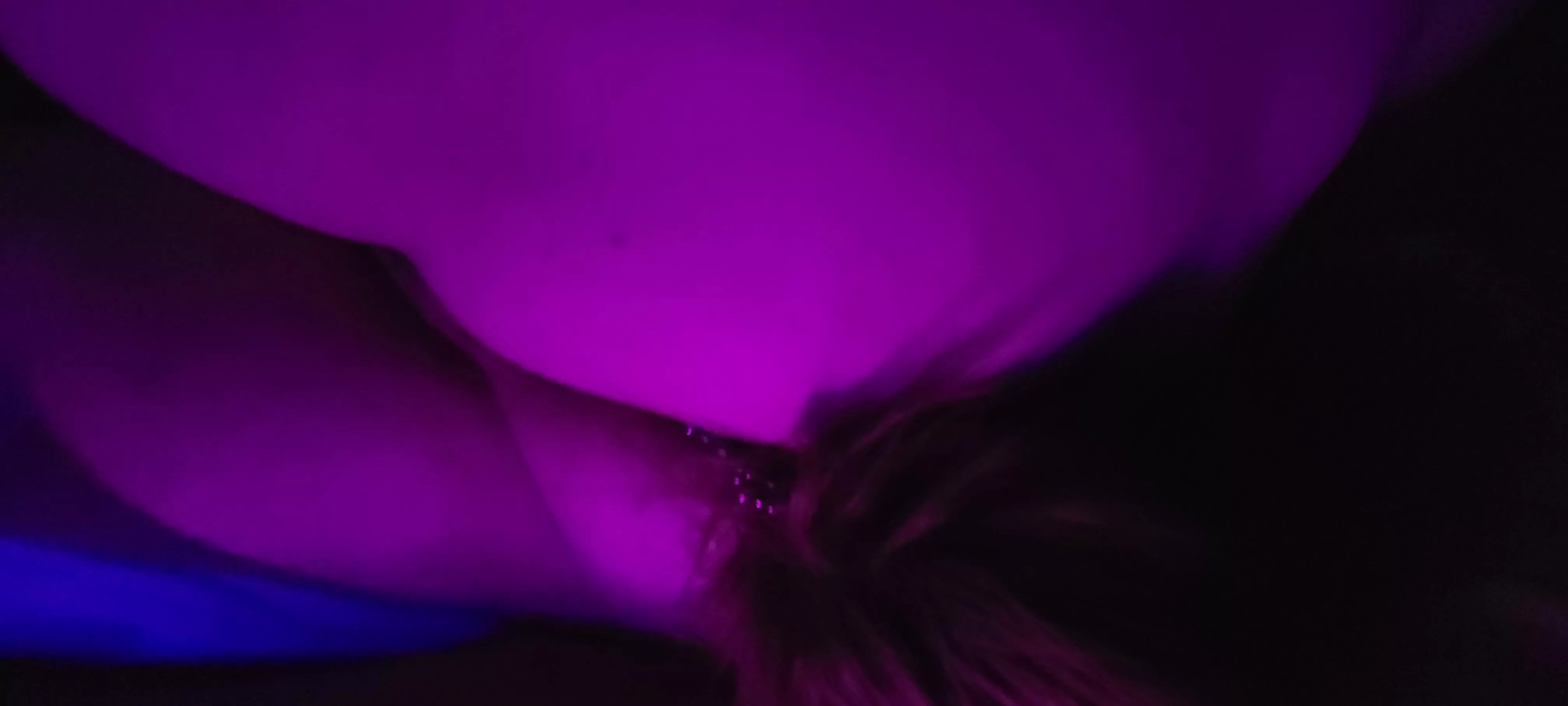 Pull on my tail & tell me I'm pretty~ 😼