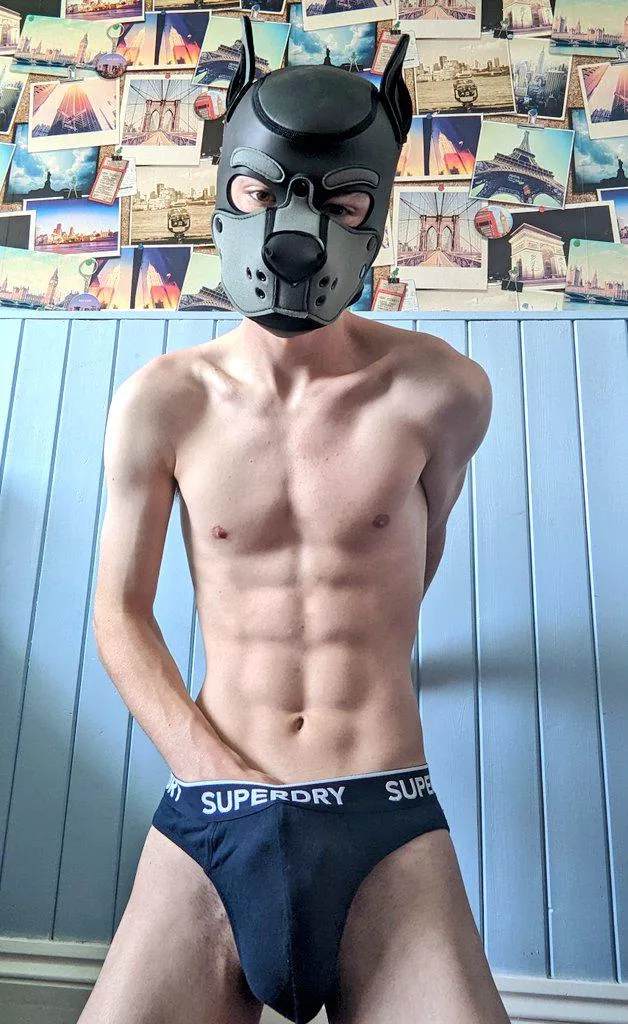 Pup found a bone! Does anyone want to help me dig it up?