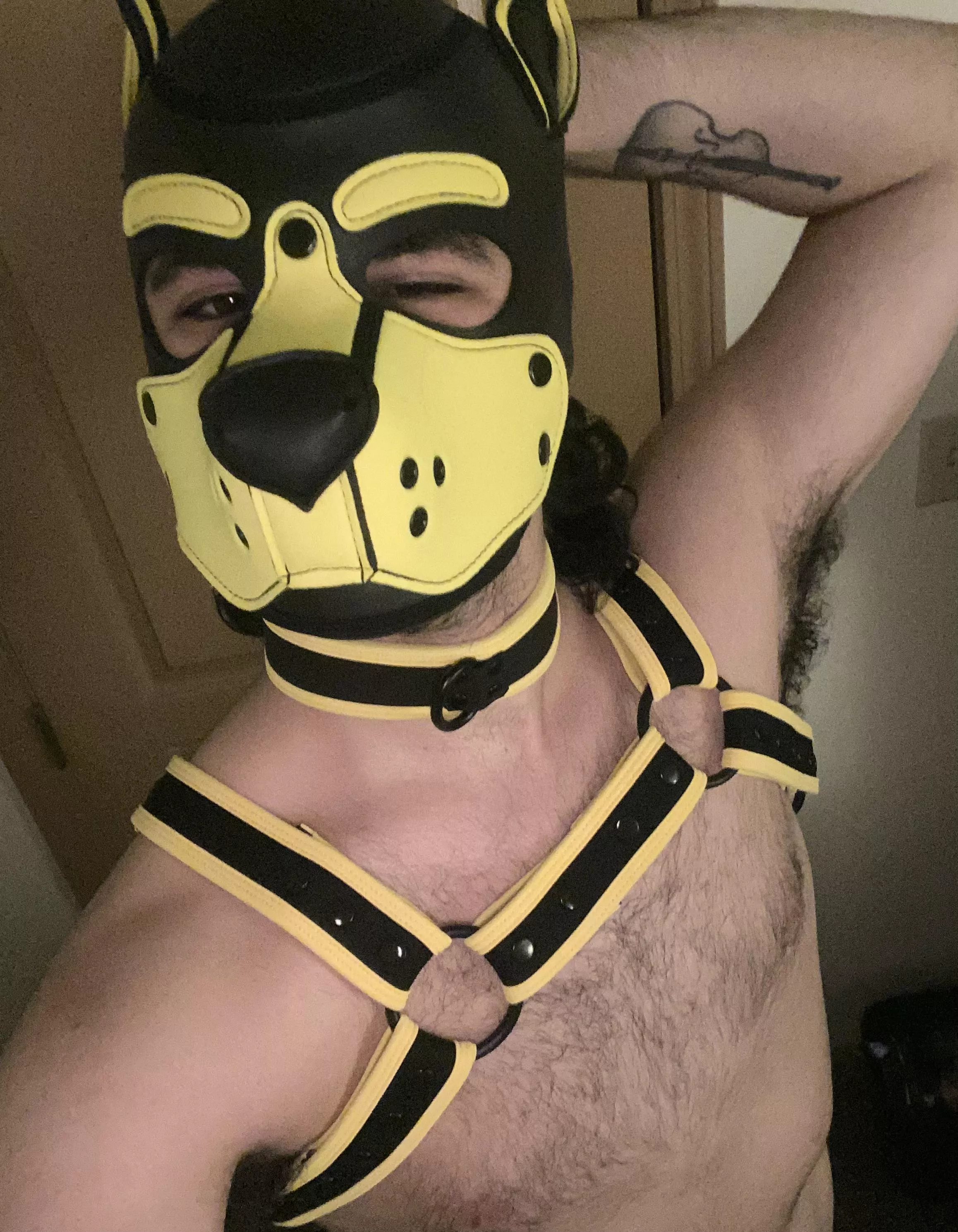 😉 pup got his first hood today!