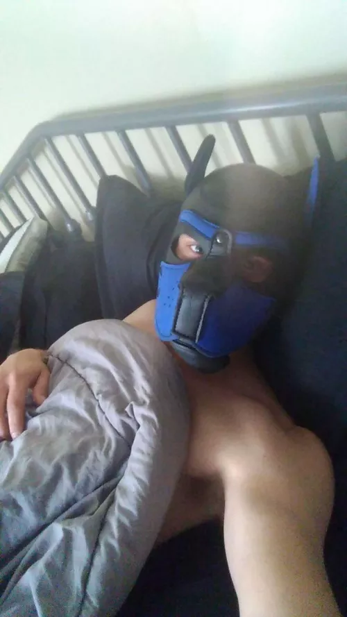 Pups needs all the snuggles, maybe a nice bone to play with too. Awooo!