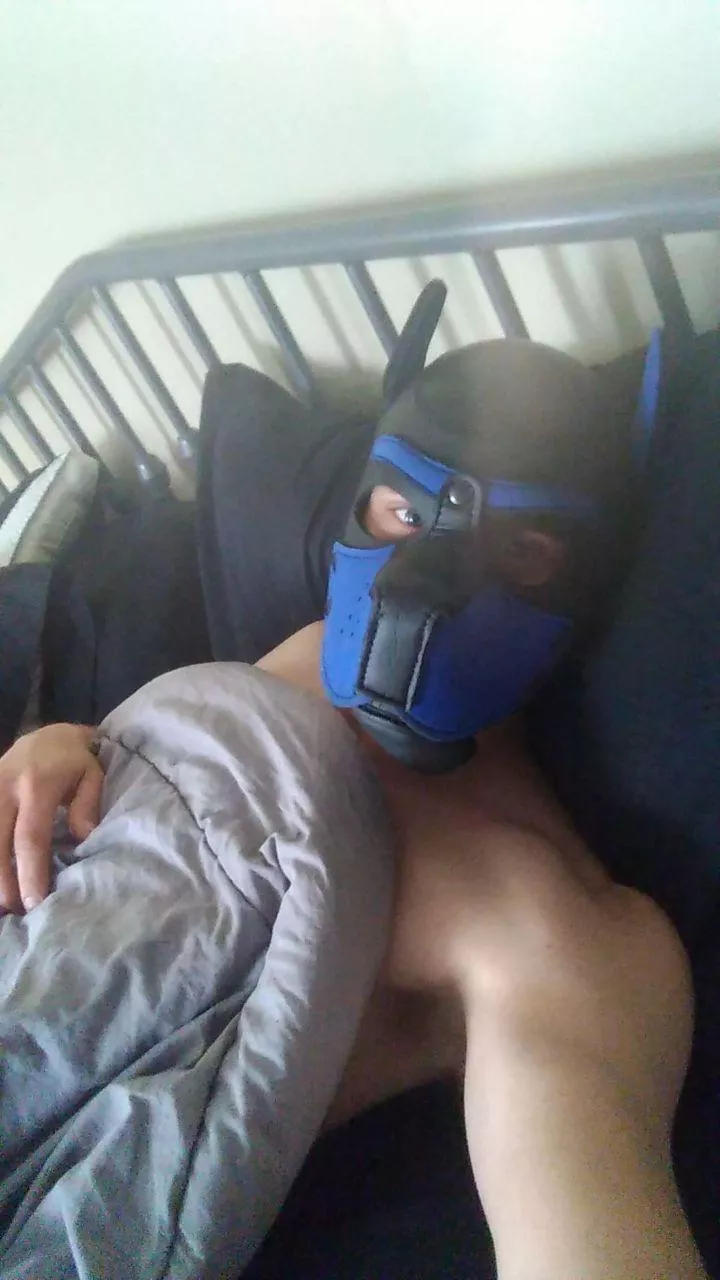 Pups needs all the snuggles, maybe a nice bone to play with too. Awooo!