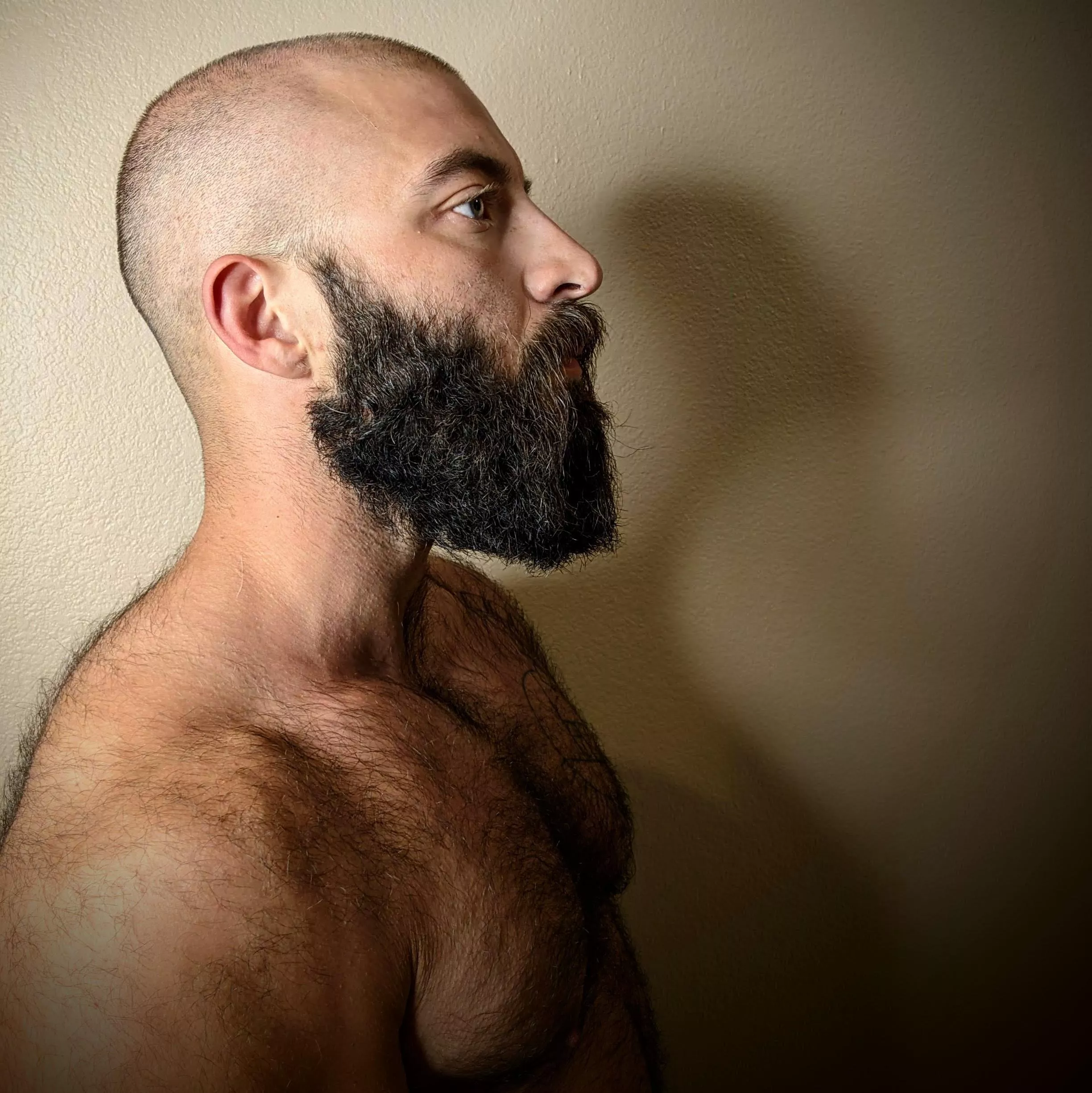 /r/ beards got mad bc I wasn't wearing a shirt, didn't figure you guys would mind tho