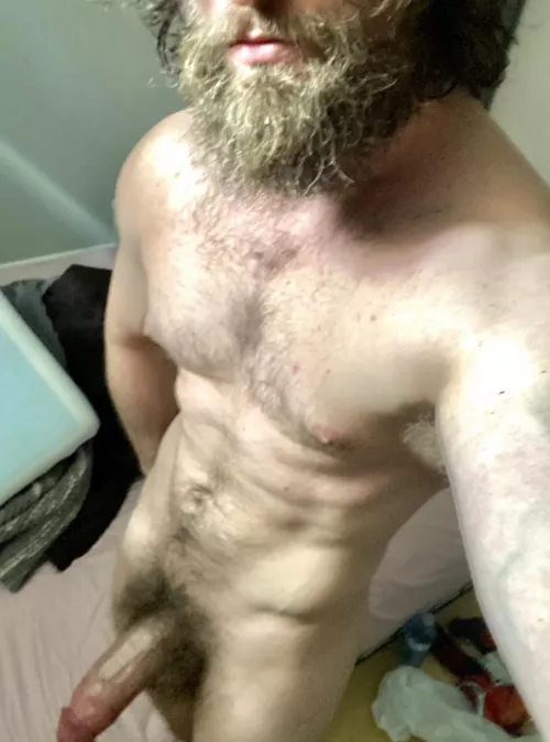 Rate my beard and cock 1-5