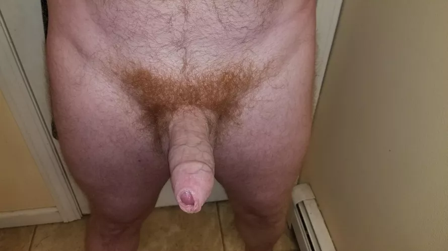 ready for someone to get on their knees and suck this ginger cock