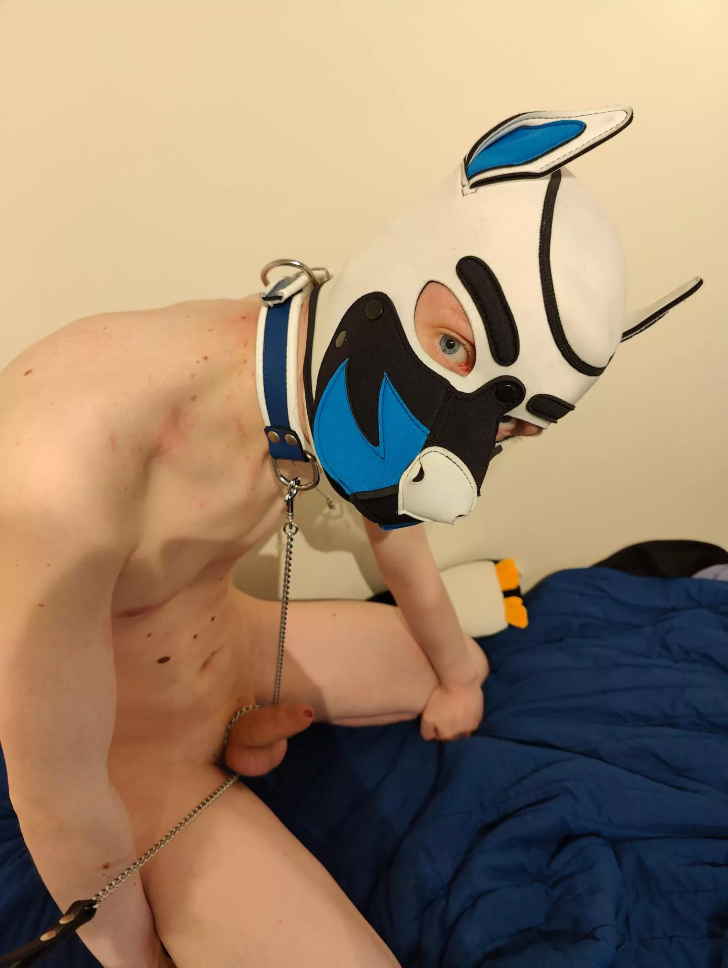 Ready to serve... 🐶😏