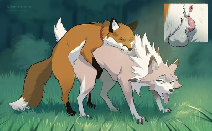 Red Fox x Lycanroc - Hump [MF] (Neverdream)