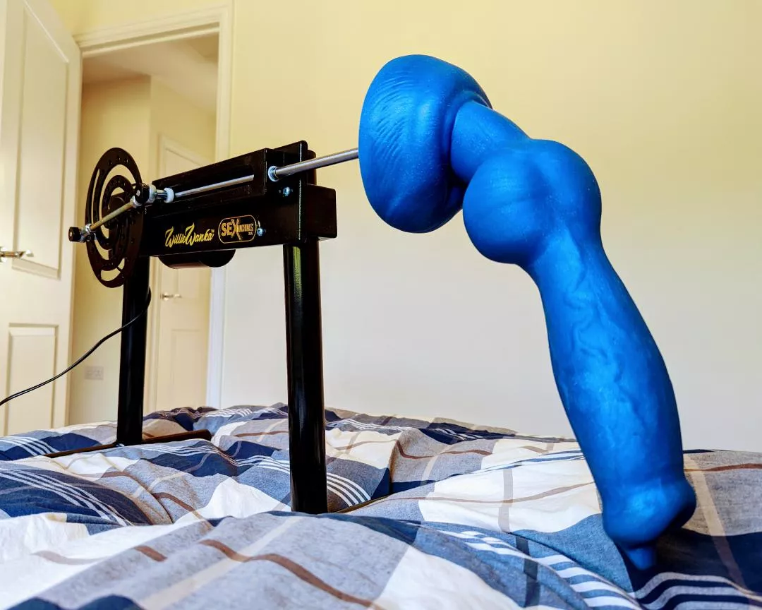 Rex is ready for some deep knotting action