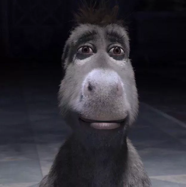 RIP TO THIS SUB PUTANGINA PURO SPAM POSTS NA NANG MGA MUKANG HAYOP