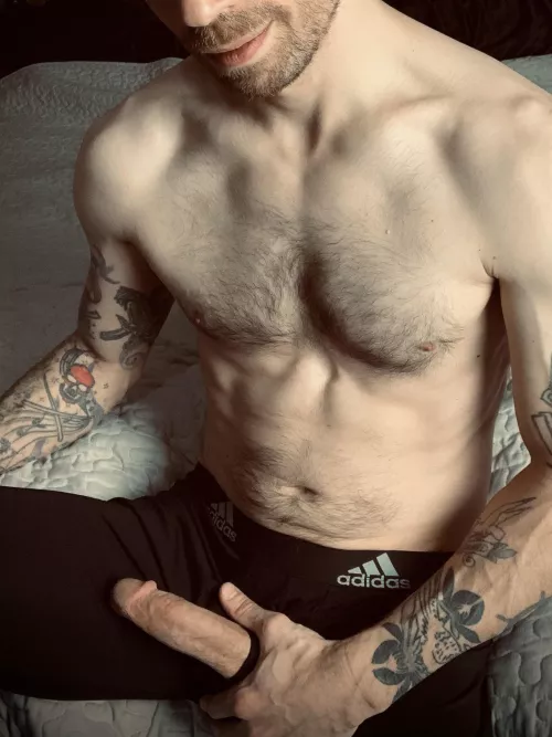 Rise ‘n Shine [37]