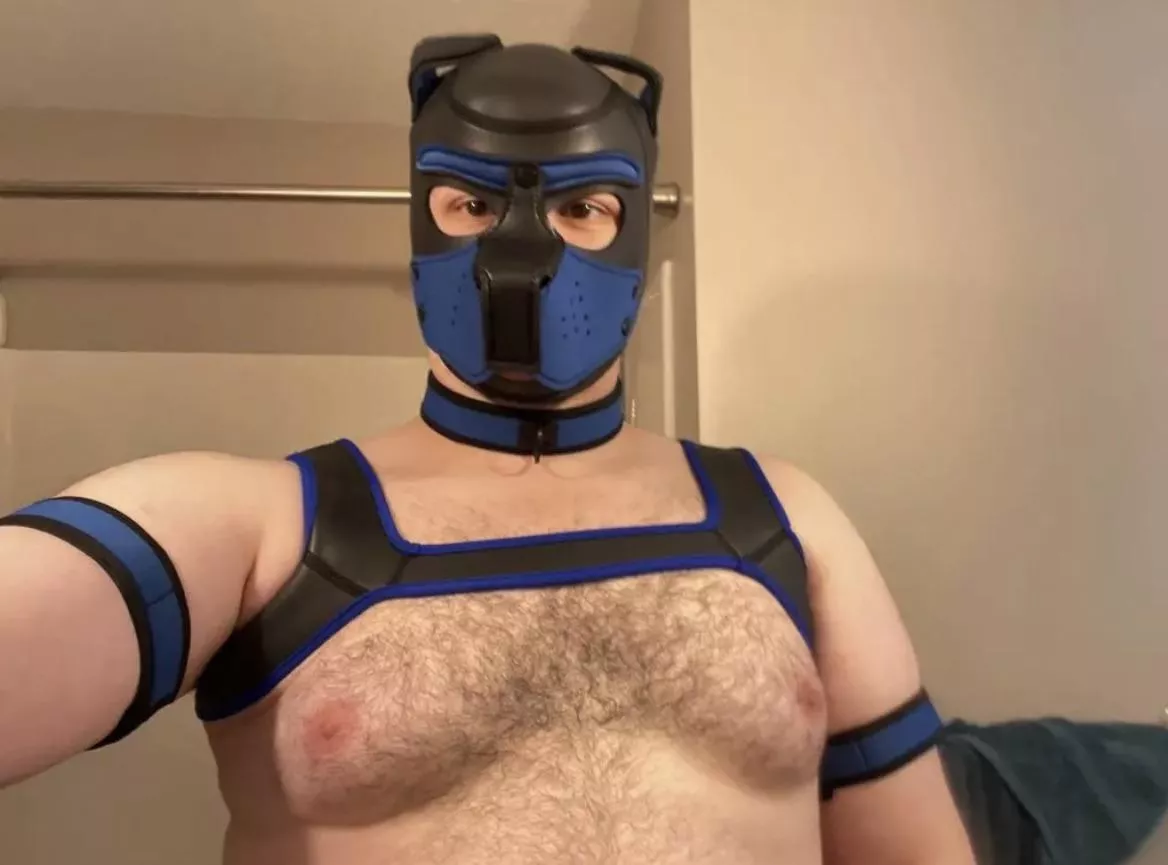 Ruff Ruff!! Gift from my trainer for completing the first part of my training.