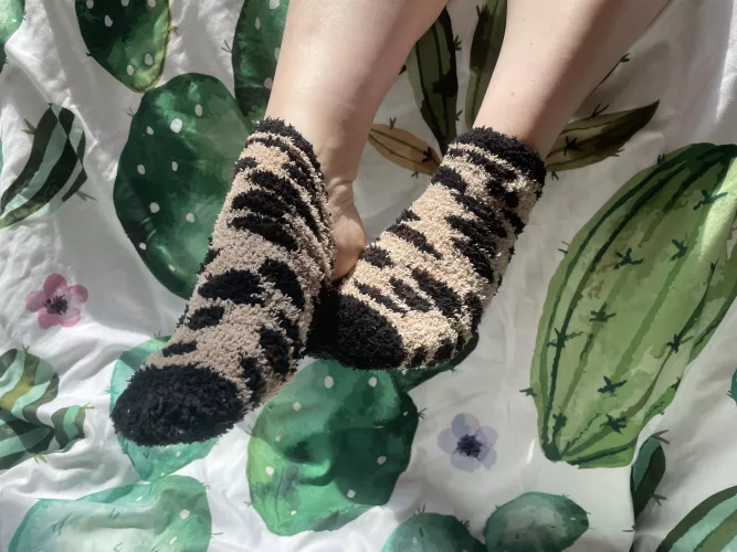 [Selling] [US] My old soft cozy cheetah prints :)