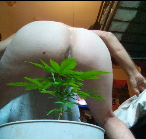 sex is fun sex is free and I want to know the feel of you in me