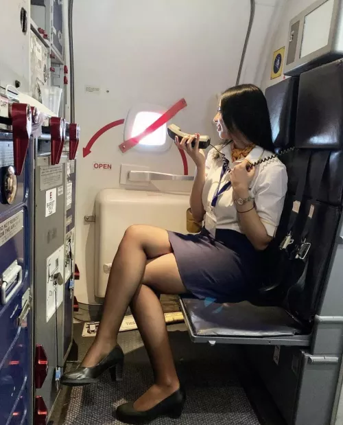 Sexy flight attendant