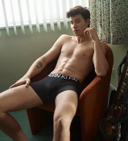 “Shawn Mendes” …