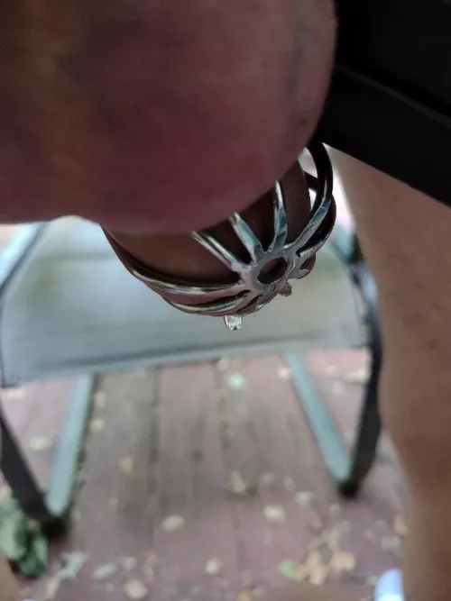 She said I had to post this photo of my cock crying the other day on our back porch while she was enjoying a smoke and the remote control vibrator she shoved up my ass. 🫣🤢