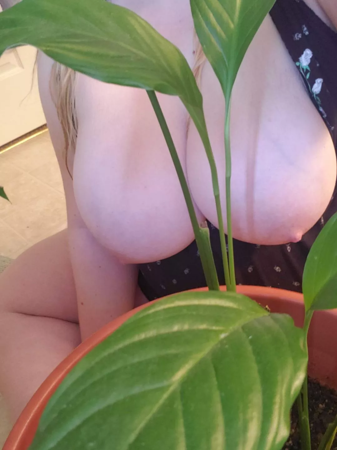 show your wife/husband my profile and tell me their reaction and dm to play more ;) show your wife/husband my profile and tell me their reaction and dm to play more ;)