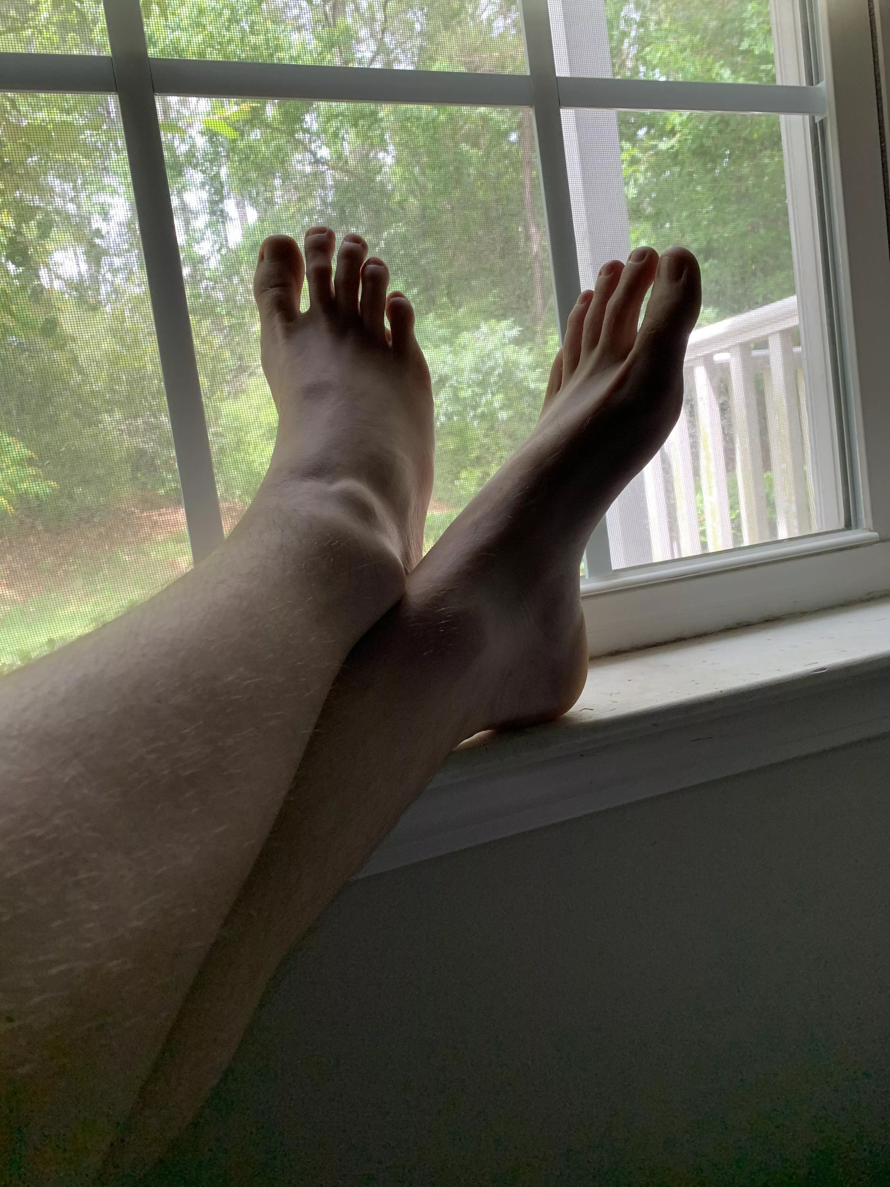 Showing off for the neighbors. Would you be a “friendly” neighbor?