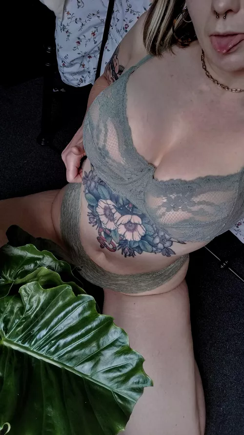 Showing off my new plant 😄