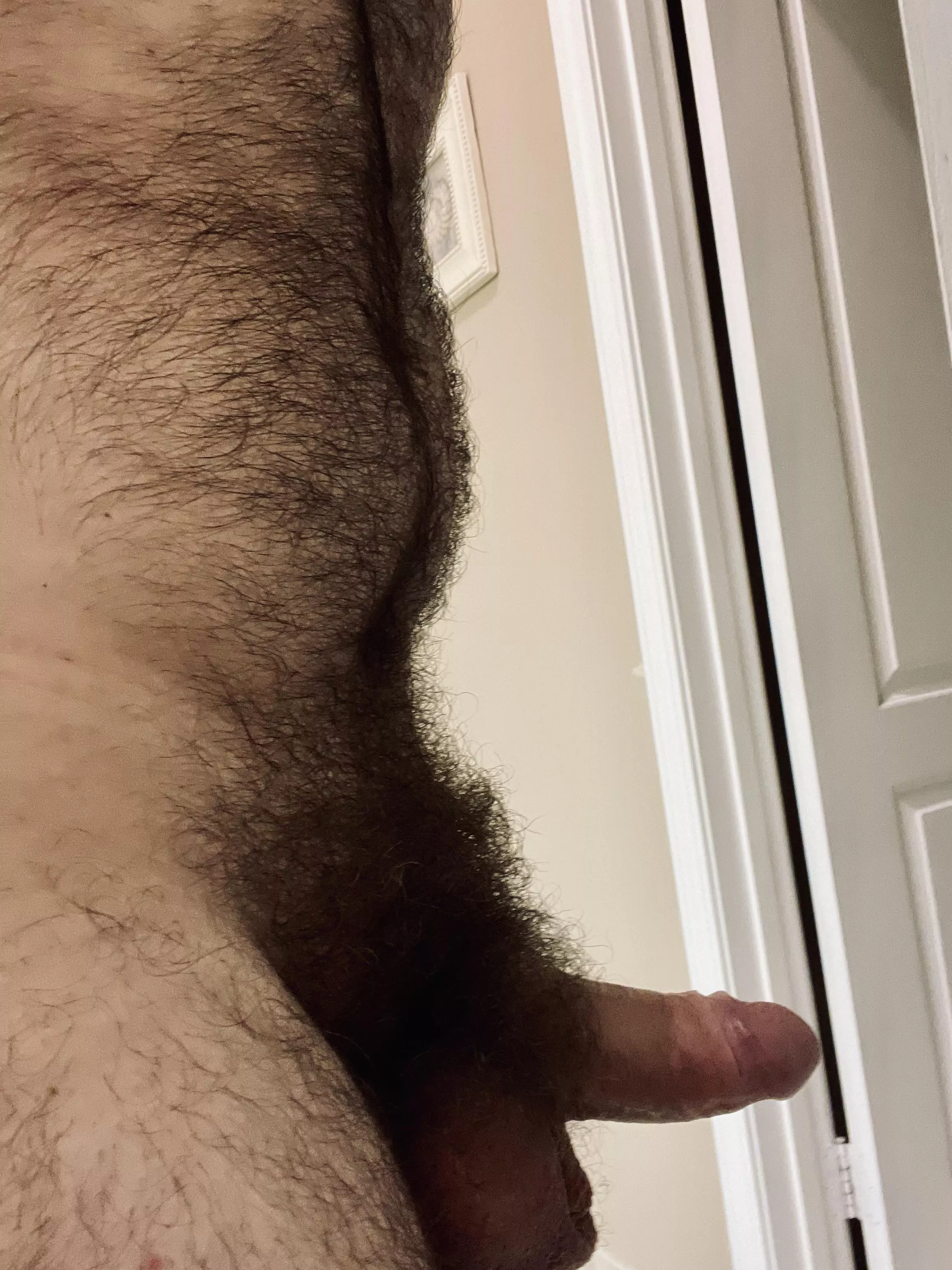 Side shot of the bush, sorry for my lil’ belly popping out.