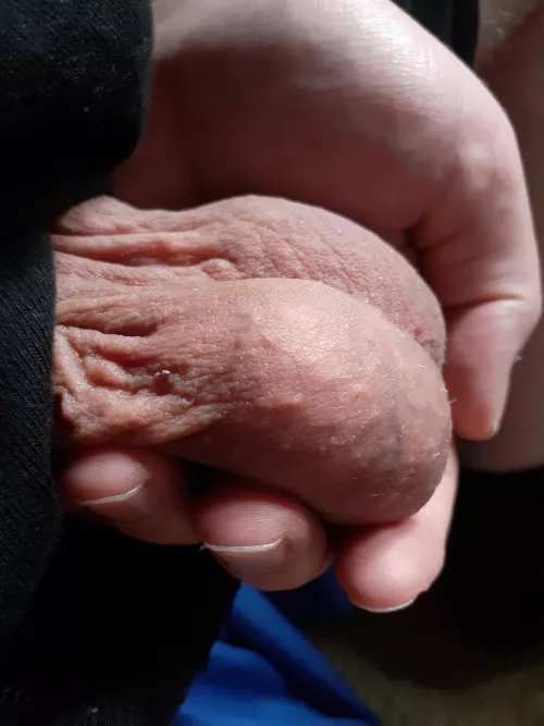 Sit them on your face