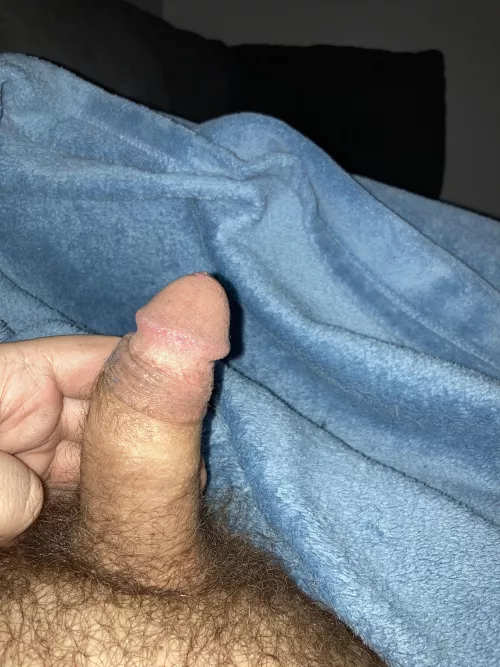 Size bet if I lose I show you my innocent straight asshole