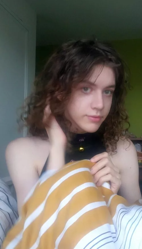 sleepy and now accepting cuddles 🦊