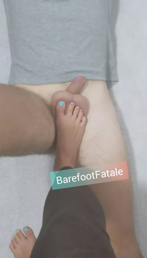 Small dicks get stepped on, what else are they good for?