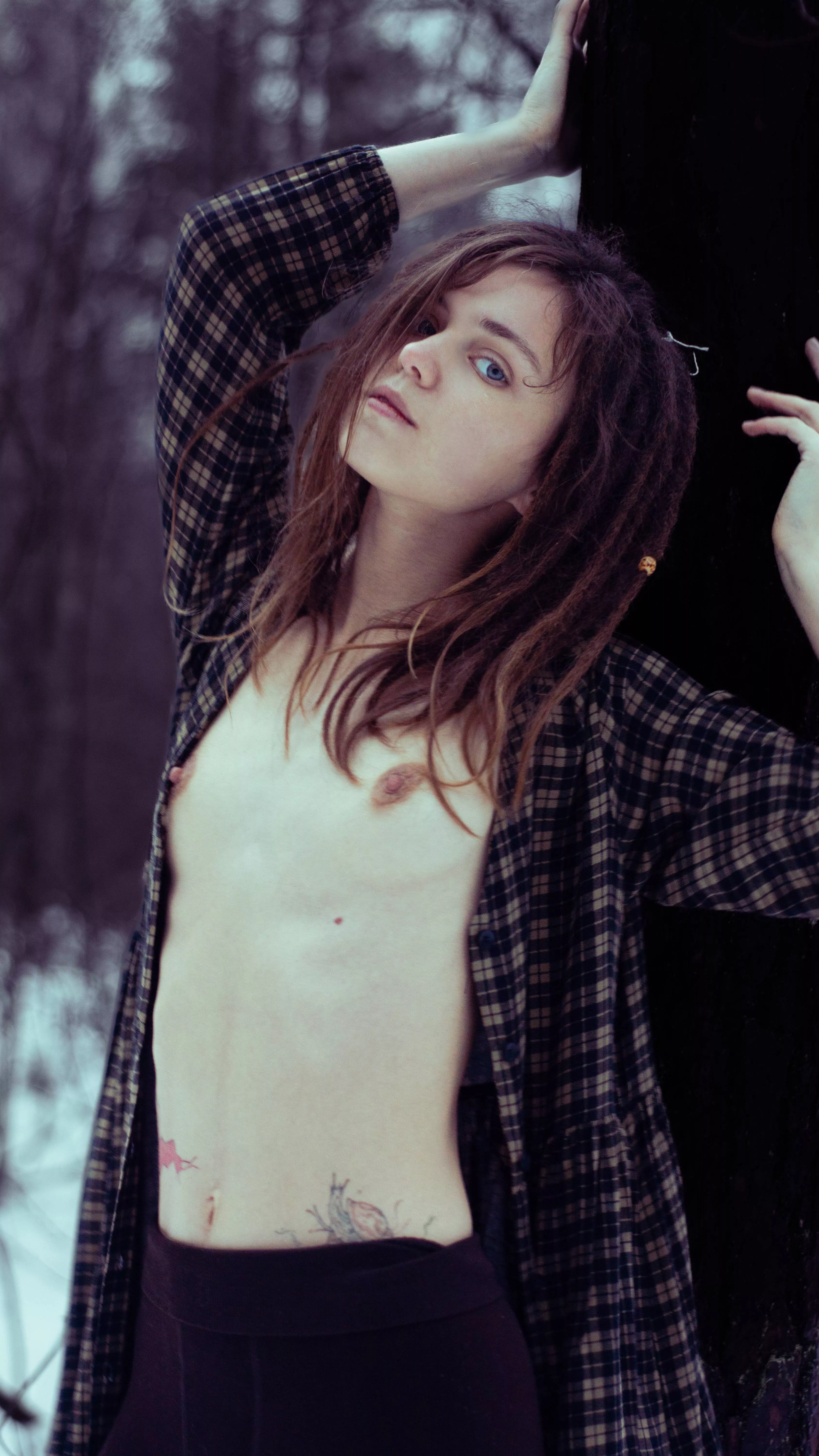 snowy cold dark forest, mysterious and alluring