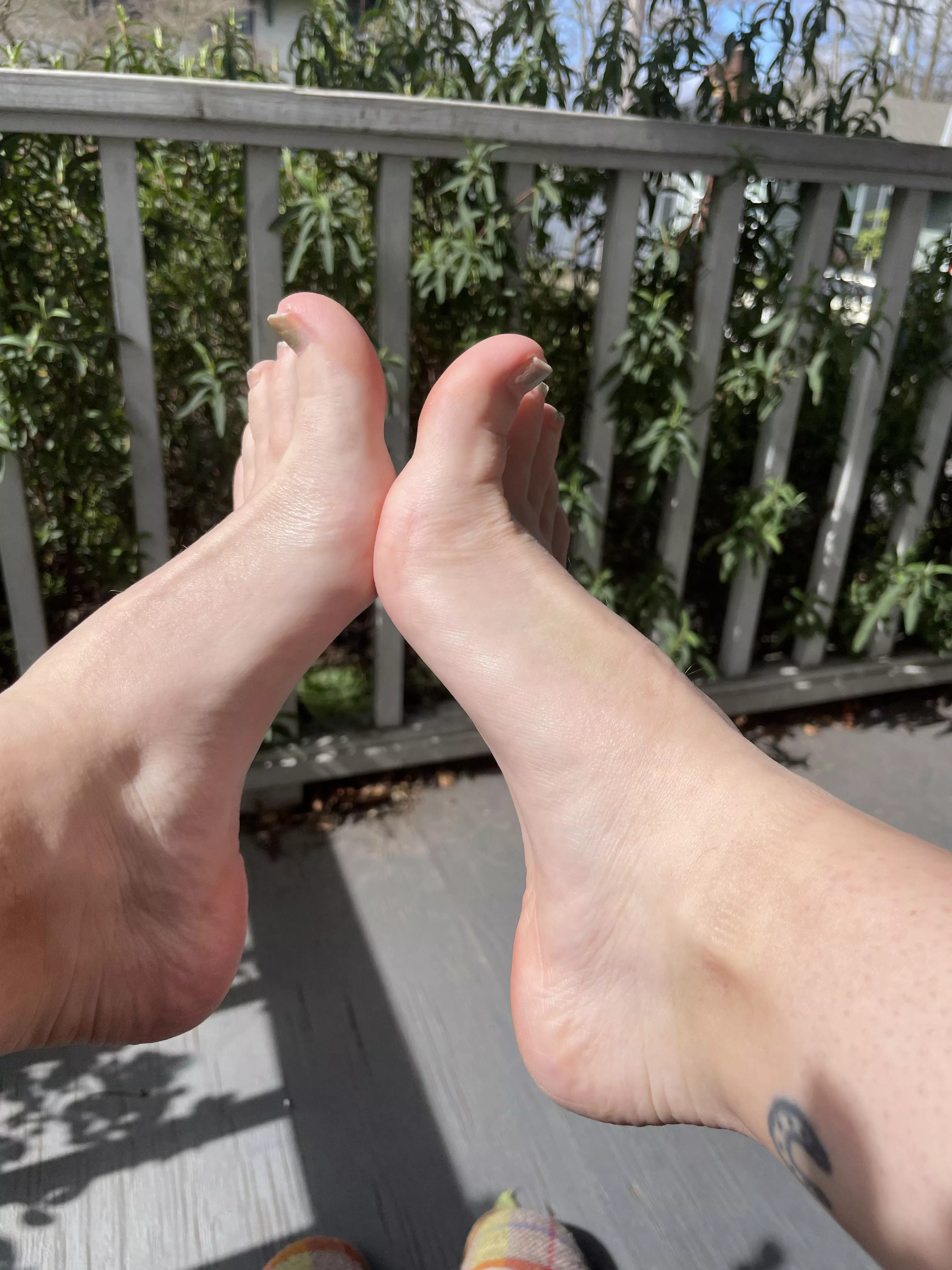 Soaking up the sun Soaking up the sun