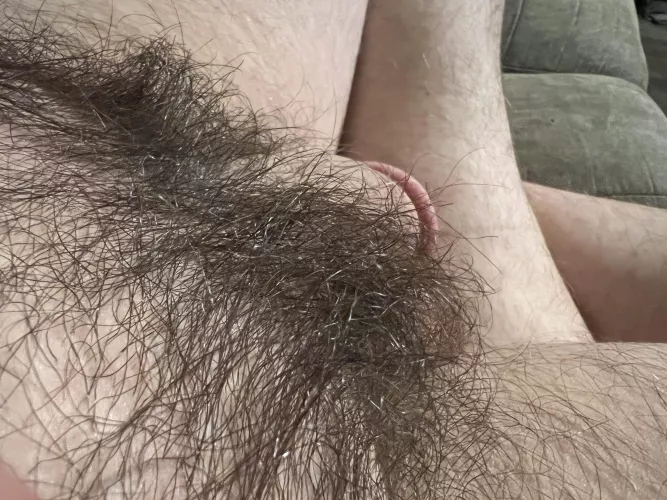 Soft and hairy