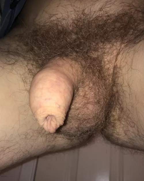 Soft and hairy