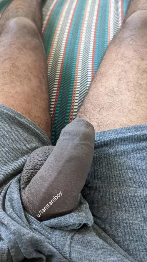 Softy needs your attention