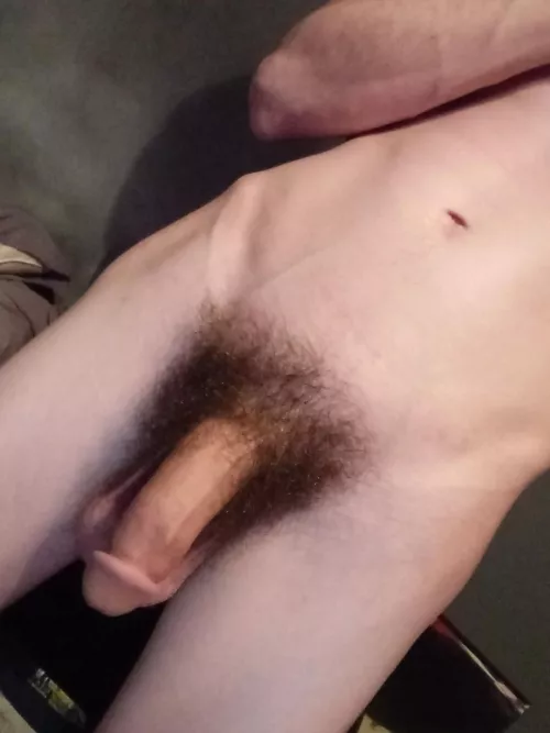 still growing cock beard lol would you choke on my cock for me??