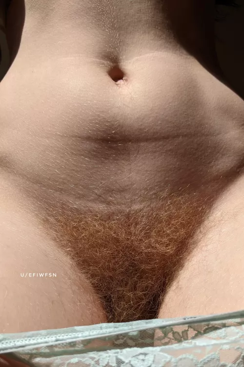 Strawberry fields forever