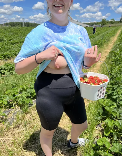 Strawberry picking on a beautiful day …… also a little flash just to keep him wanting more🤭😋🍓