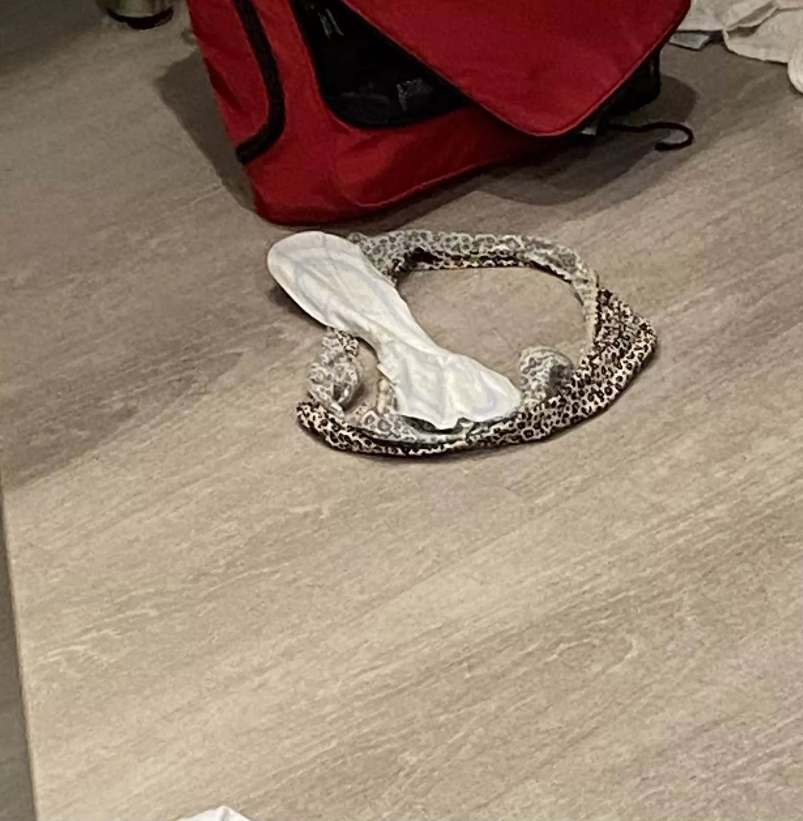 Swim Team Picks Up Her Slobbish Habits Naturally. This is a Very Normal Panty/Pad Scene For Swim and The Other Panty Wearer in the House.