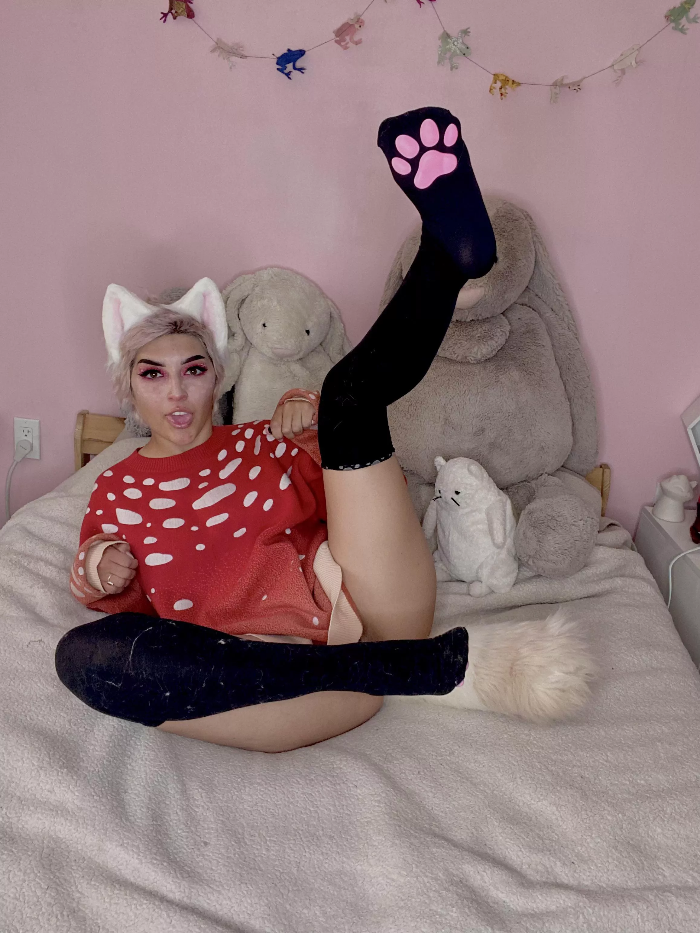 Take a bite out of this magic mushpuppy 🐶🍄