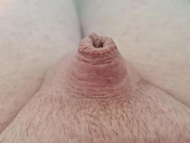 Tell me how tiny I am.