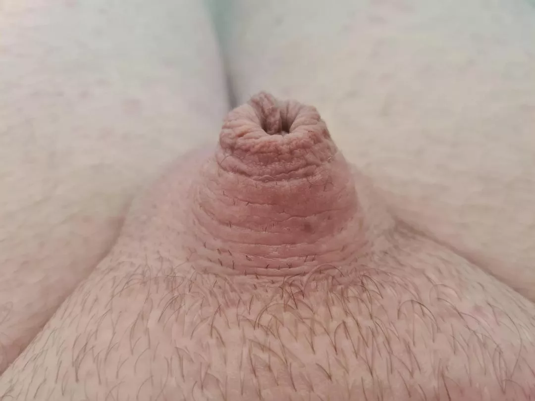 Tell me how tiny I am.