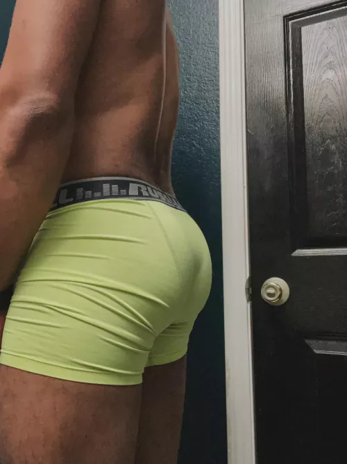 The ass that Rugby hath built