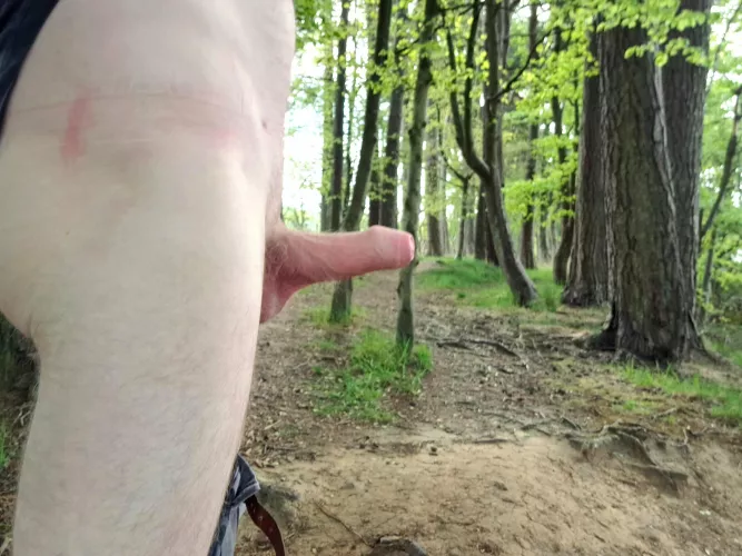 the early bird catches a glimpse of my worm. Good morning from Scotland